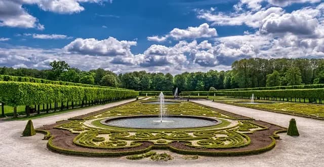 Les meilleures plantes suspendues pour votre intérieur